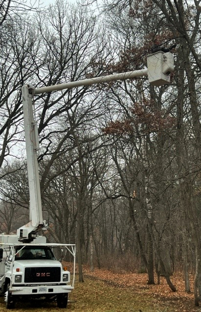 tree service